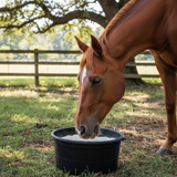Stabilized Rice Bran for Horses | 20 Kg.