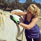 A horse groomer using Horse Grooming HandsOn Gloves on a horse, in the outdoors of Kamloops, British Columbia