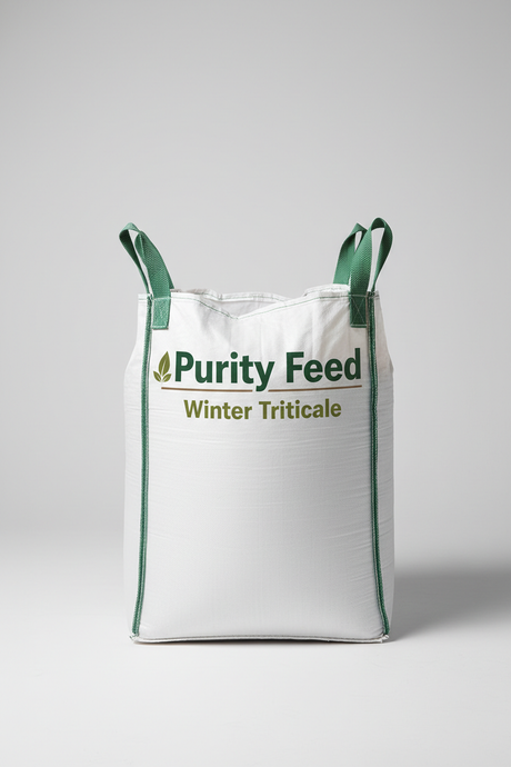 Purity Feed Winter Triticale 1000 kg Mini Bulk Bag