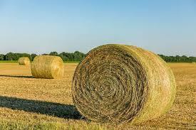 Windrow 40000 Double Ball Baling Twine for Round Bales