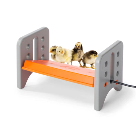 Close-up view of K&H Pet Thermo-Poultry Brooder showing adjustable pegged shelf with chicks