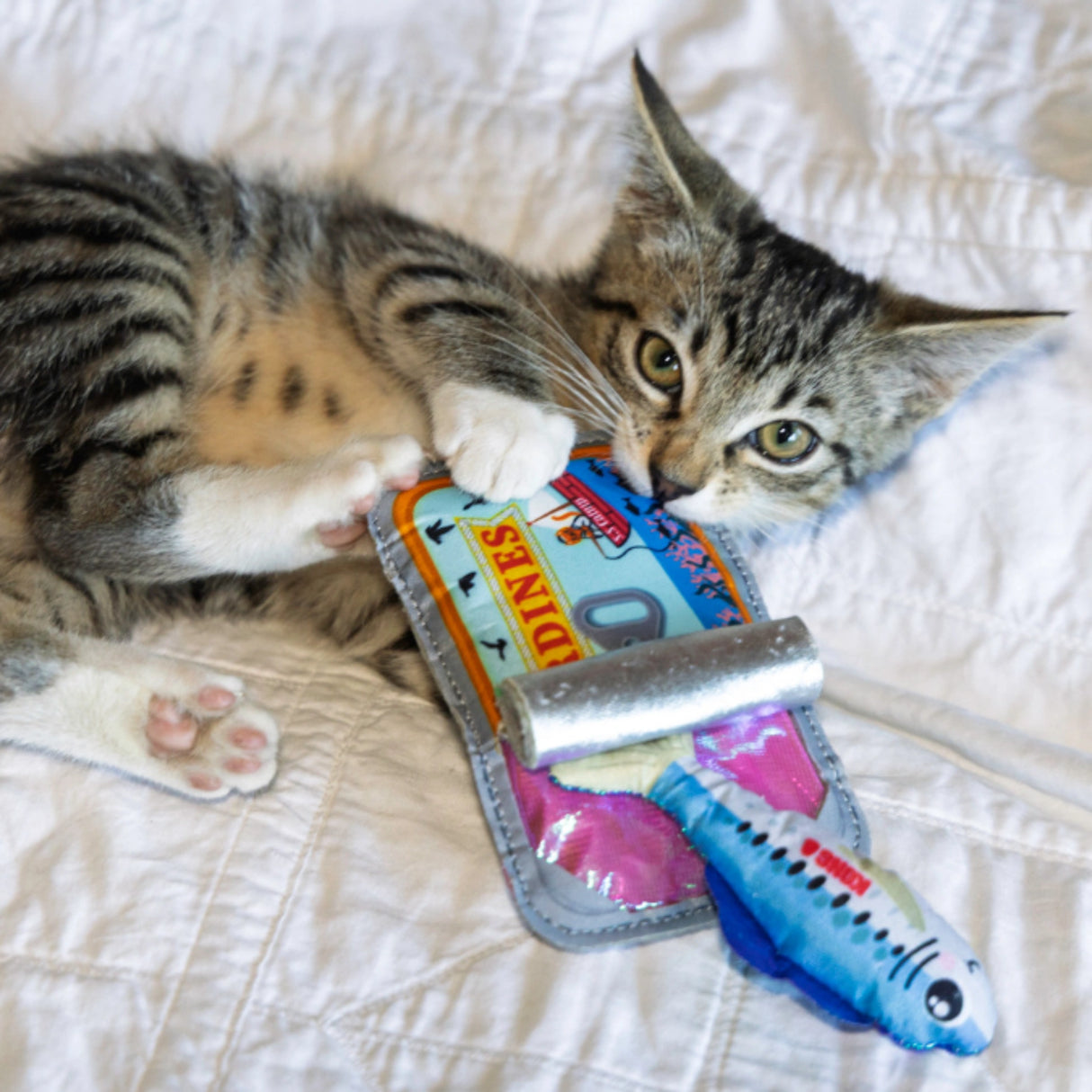 Kong Crackles Sardine Cat Toy being played with indoors by a cat