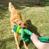 Kong Knots Frog Plush Dog Toy being played with a dog with their owner in a tug-of-war outdoors in Kamloops, British Columbia