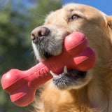 Kong rubber bone chew dog toy being chewed on by a large breed dog outdoors in Kamloops, British Columbia