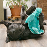 Kong plush Dog Toy turtle being played by a dog indoors