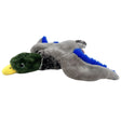 Close-up view of Kong Stuff Mallard Duck plush dog toy on a white background