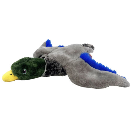 Close-up view of Kong Stuff Mallard Duck plush dog toy on a white background