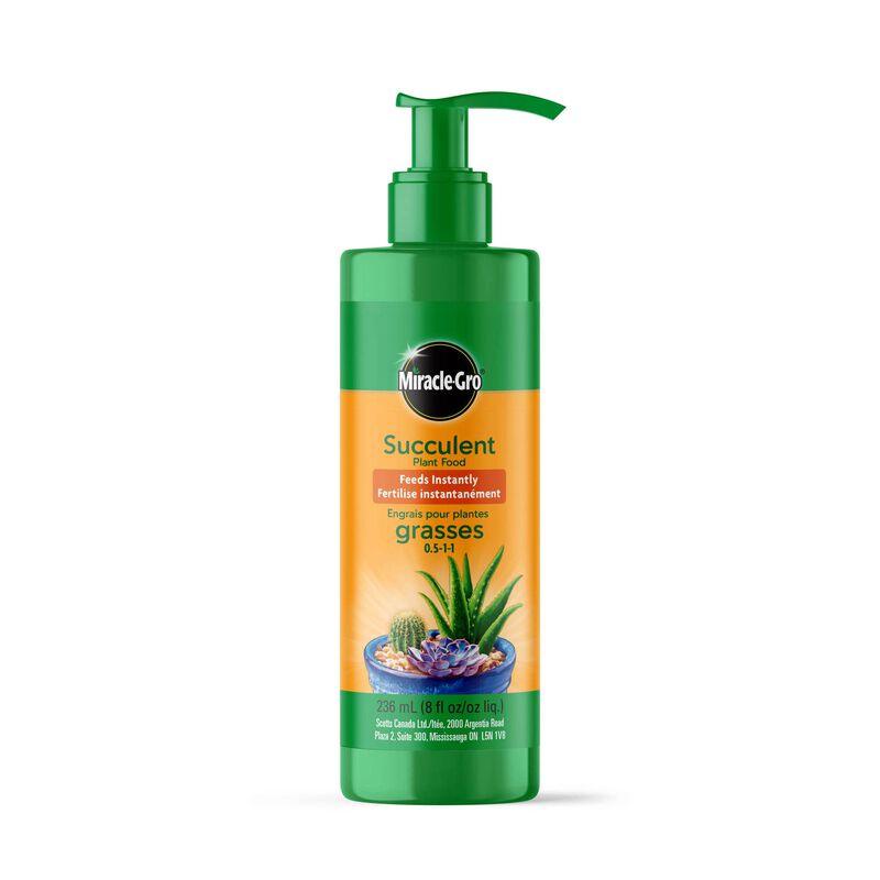 Miracle-Gro Succulent Plant Food 236ml