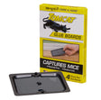Front view of Motomco Tomcat Glue Boards 4PKG Pest Control on a white background