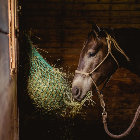 Trailer Bag Hay Feeder mounted on the wall inside a stable feeding a horse slowly