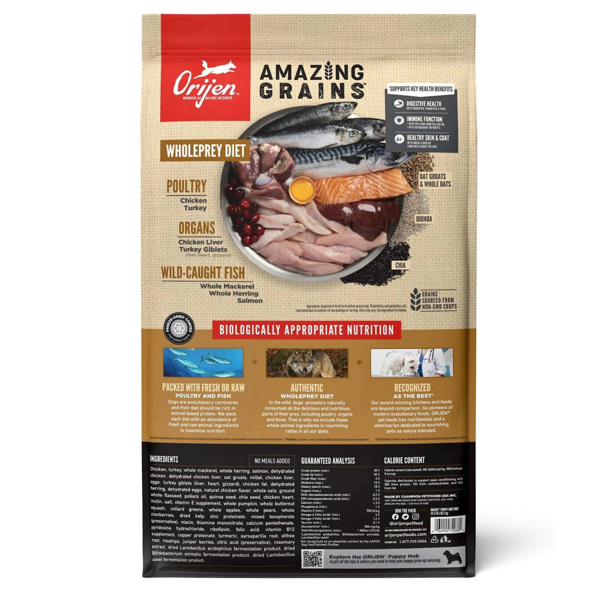 Back view of Orijen Amazing Grains Original Dog Food on a white background