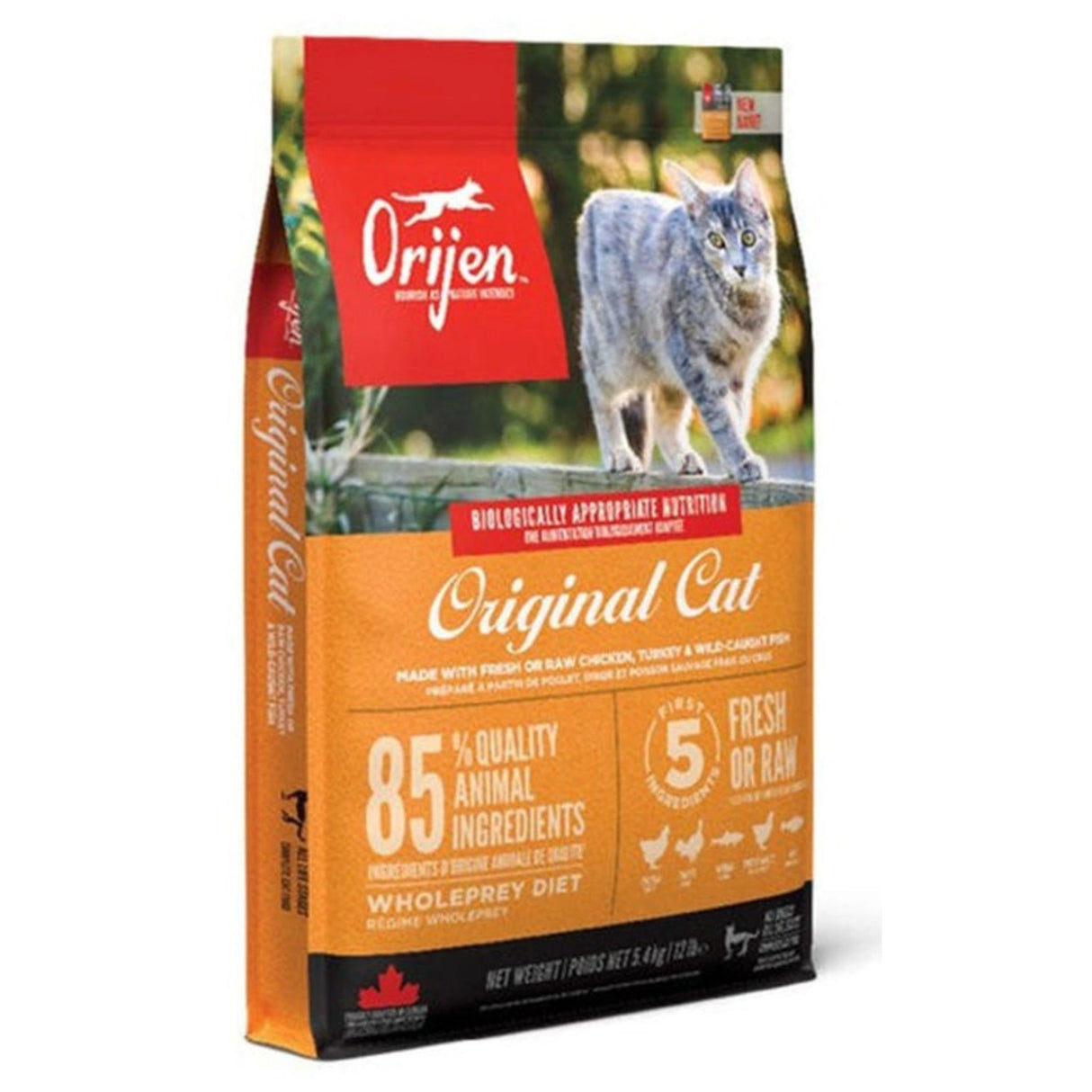 Front side view of Orijen Grain-Free Protein-Rich Recipes Kitten & Cat Food on a white background