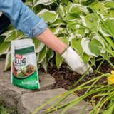Ortho Slug and Snail Bait applied outdoors in a garden in Kamloops, British Columbia