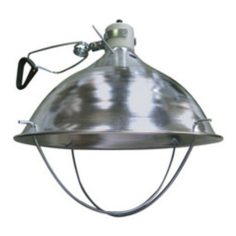 Front view of Purity Feed Brooder Lamp on a white background