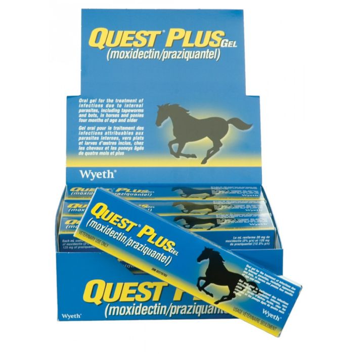 Quest Plus Horse Wormer Gel