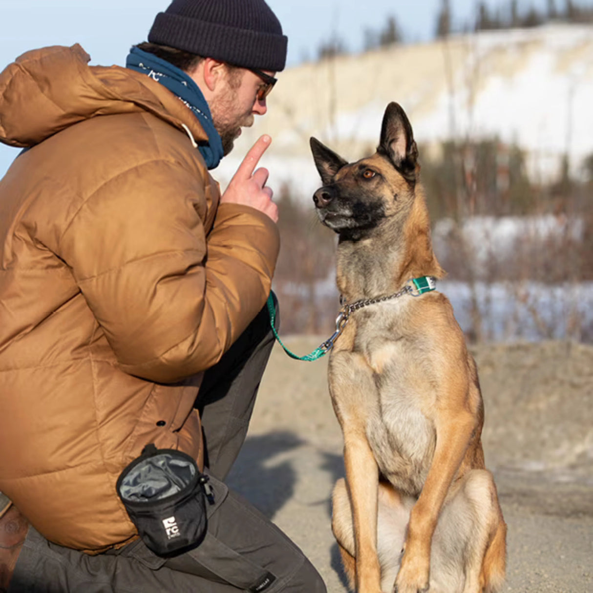 A dog owner using the RC Pets Essential Heather Black dog treat pouch while training their dog outdoors in Kamloops, British Columbia