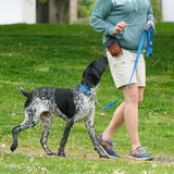 A dog owner using the RC Pets Essential Dog Treat Pouch in heather teal during a training session on the scenic trails of Kamloops, British Columbia
