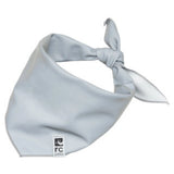 A close-up view of RC Pets dog bandana on a white background