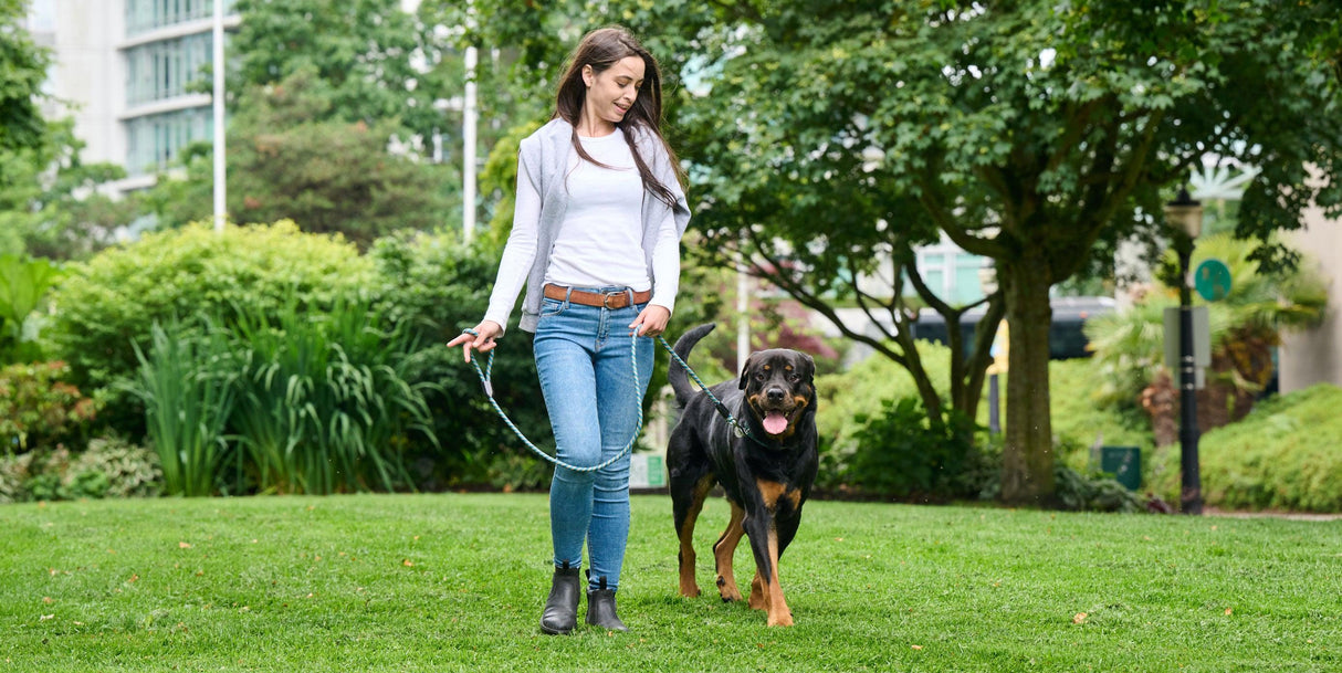 RC Pets Black Rope Leash