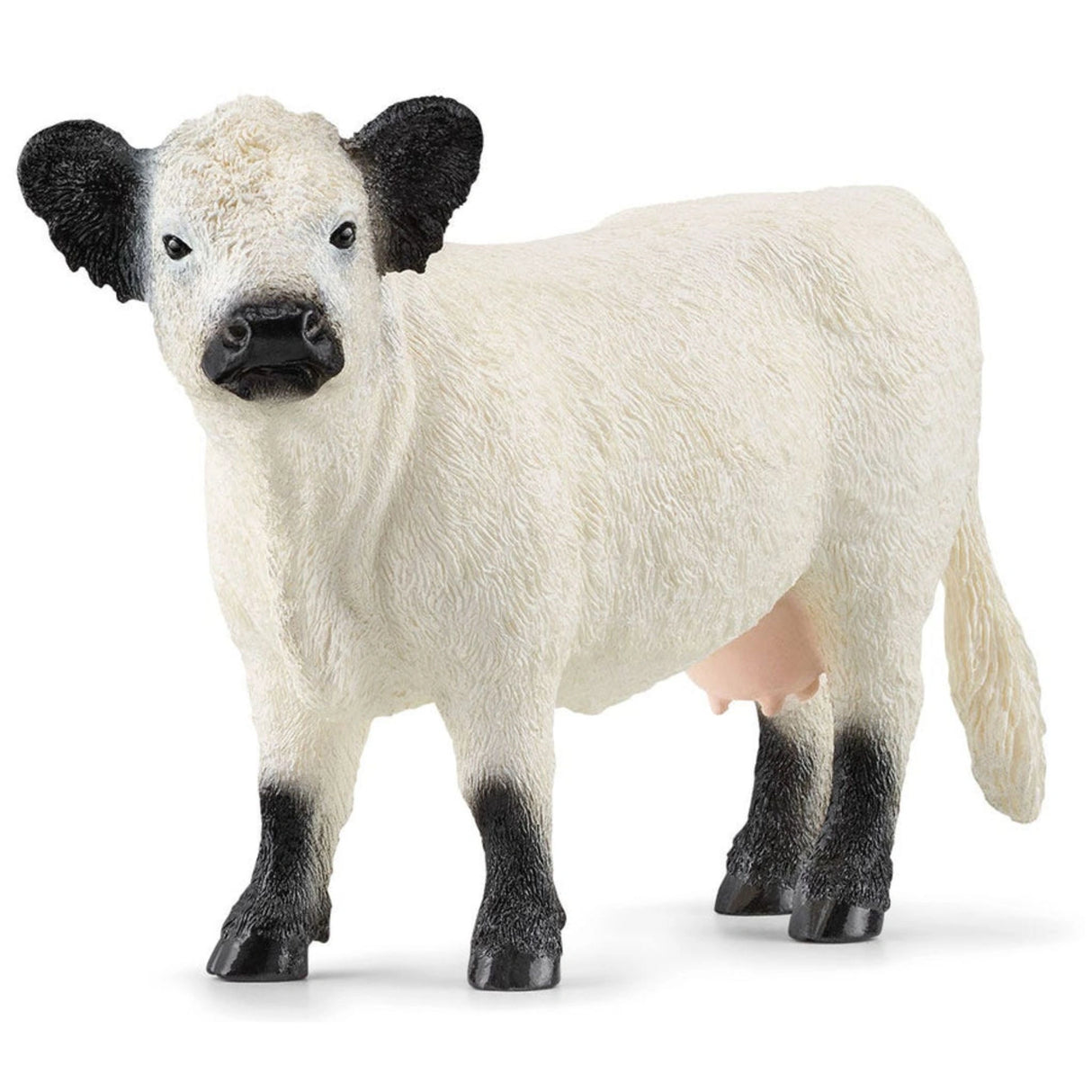 Close-up view of Schleich farm animal toy Galloway Cow showing realistic details on a white background