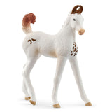 A close-up view of Schleich horse toy Marwari Foal on a white background