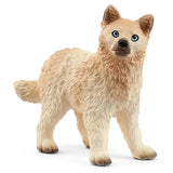 A close-up view of Schleich Arctic Wolf Cub wolf toy on a white background