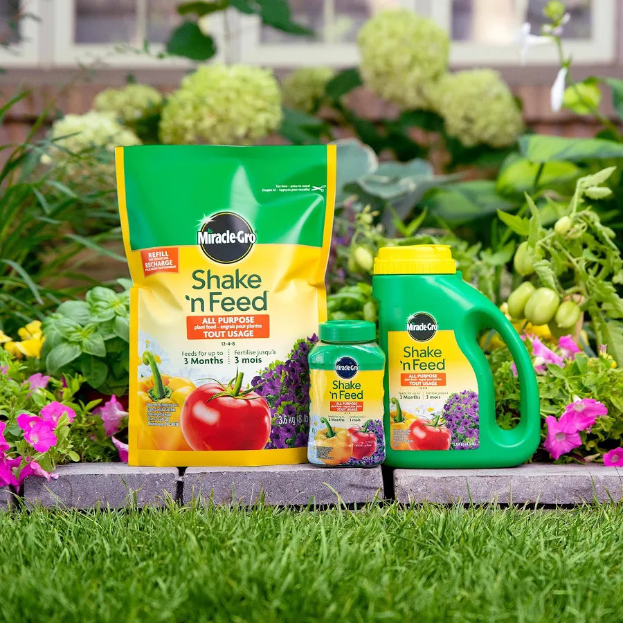 Miracle-Gro Shake 'N Feed All Purpose Plant Food 12-4-8 | 2.04KG