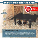 Farm Innovators PH-200 2-in-1 Coop Heater & Chick Brooder | 200W/50W