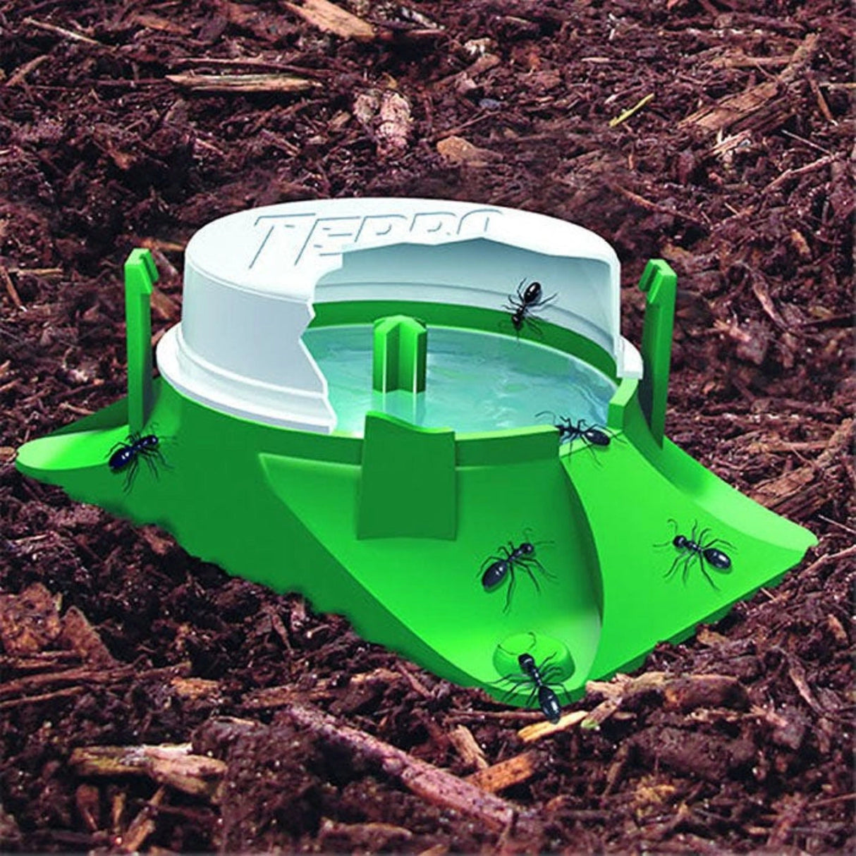 Terro Ant Trap in use outdoors in a backyard setting in Kamloops, British Columbia