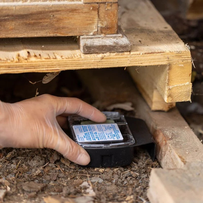 Tomcat® Mouse Killer Refillable Bait Station & Blocks