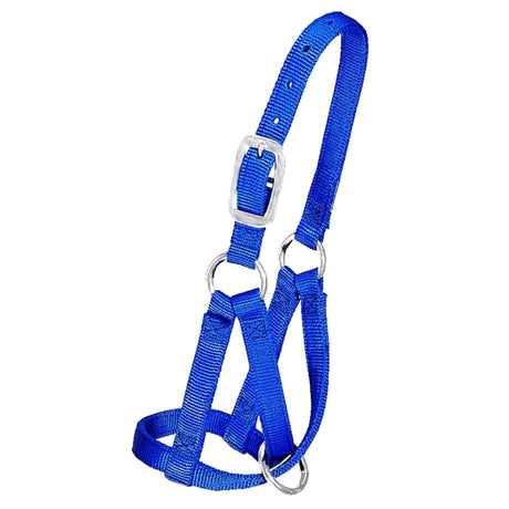 Close-up of Weaver Leather Criss-Cross Nylon Llama Halter showcasing nickel hardware on a white background