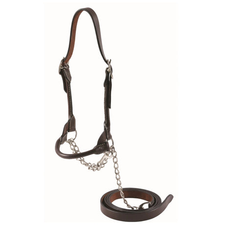 A front view of Country Legend Rolled Noseband Cow Halter on a white background