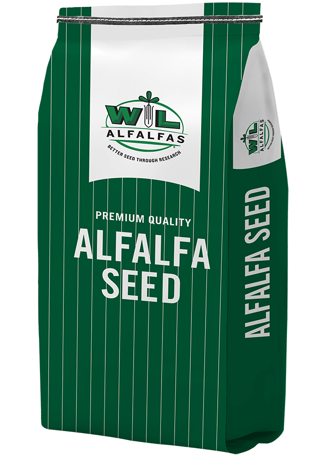 WL 365 HQ Multi Cut Alfalfa