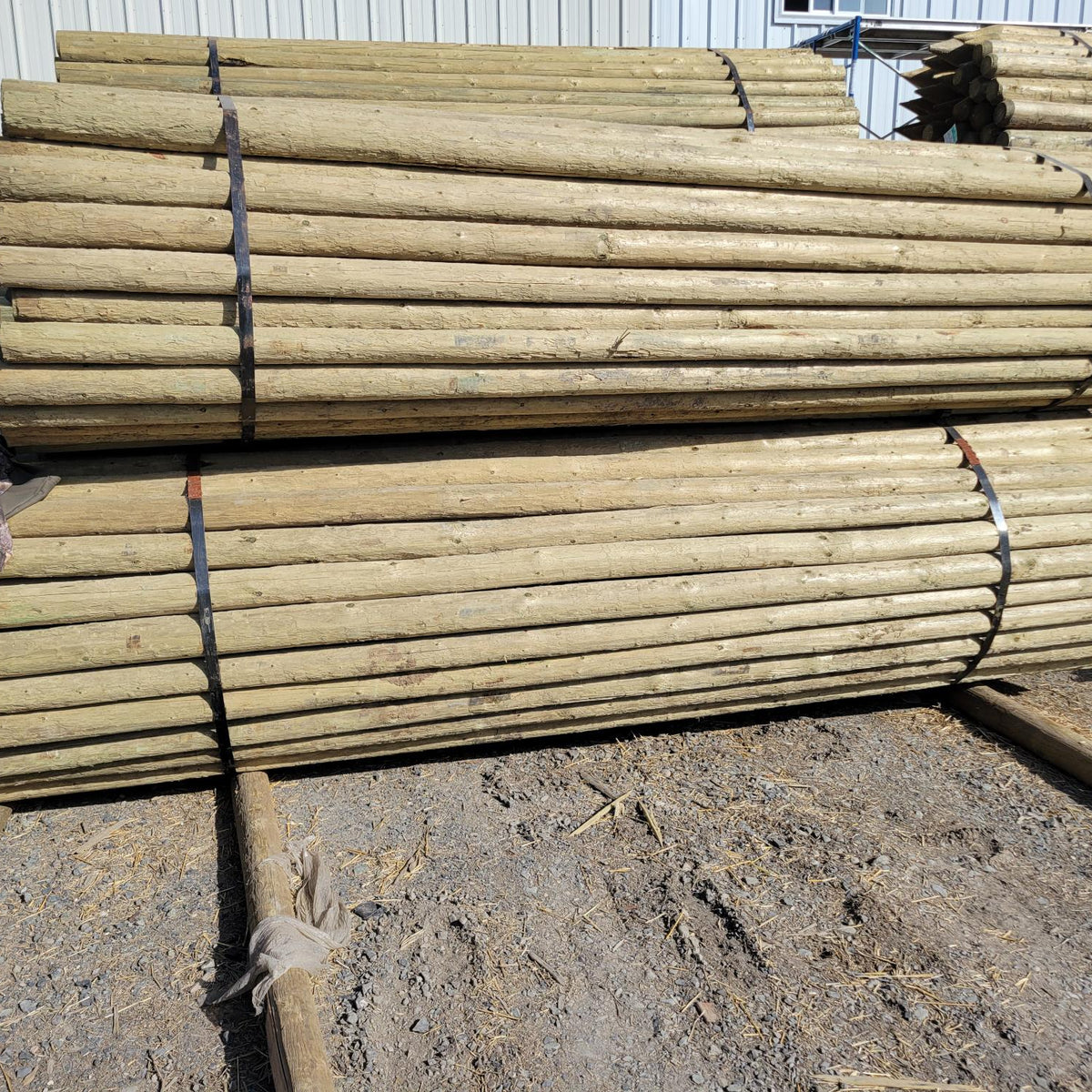 Fence Rails | Pressure Treated | Premium Pine | 3-4 inch | 100 per bun ...
