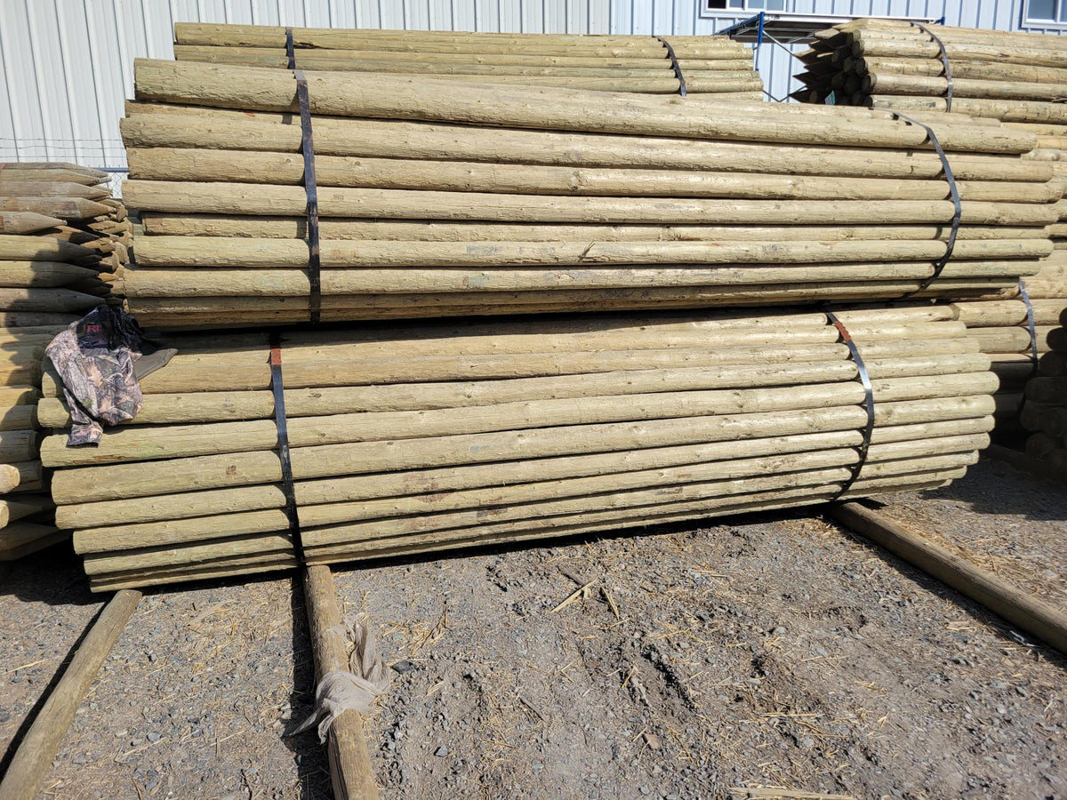 100 Timber Rails Fence Rails | Pressure Treated | Premium Pine | 3-4 inch | 100 per bun ...