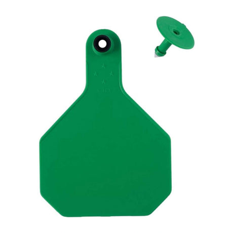 Front view of Y-Tex Large Green Blank Ear Tag on a white background
