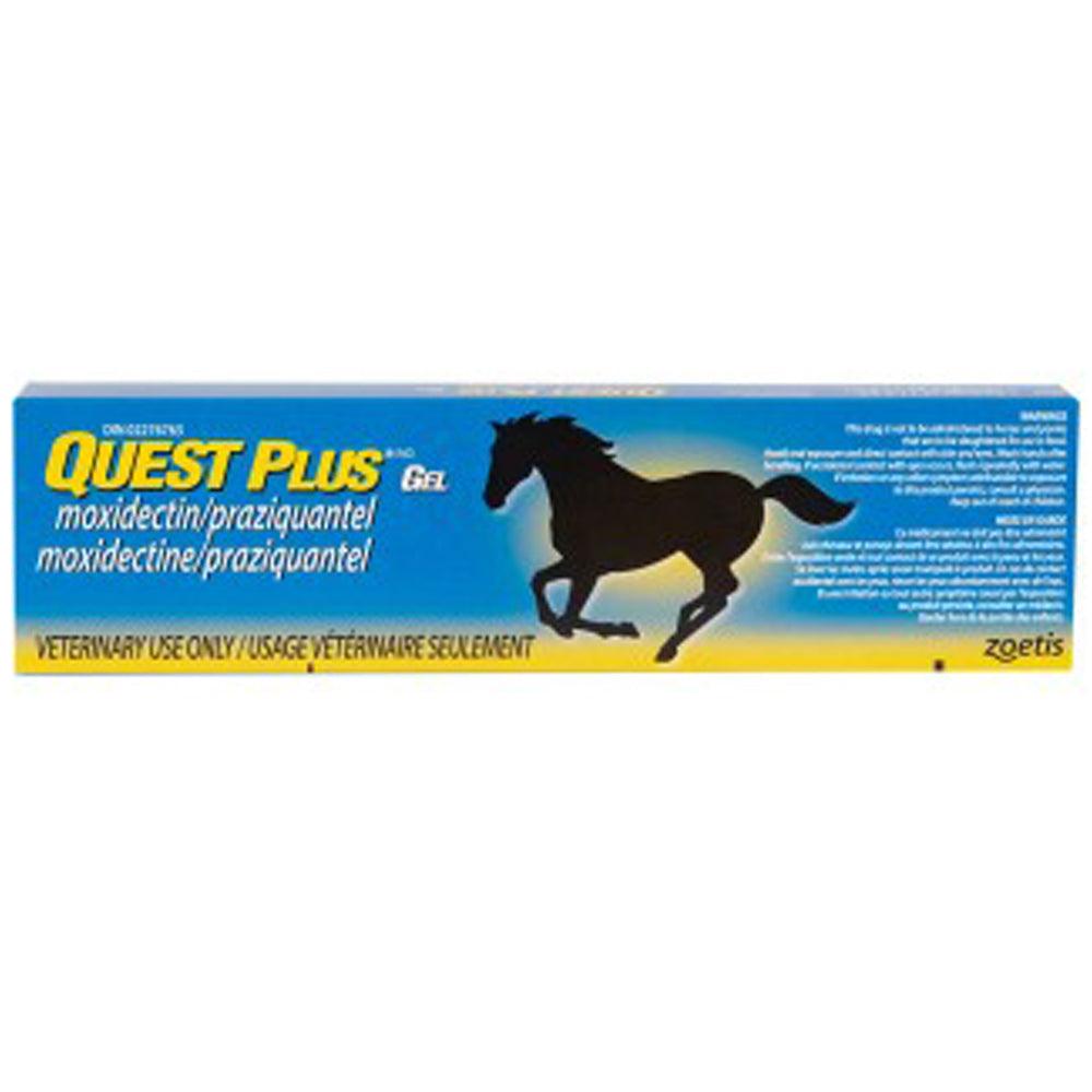 Horse wormer moxidectin praziquantel gel quest plus 11 6 gr