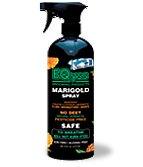 Canadian Marigold Spray